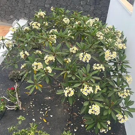 Dedalos - Spacious Luxury With Heated Pool In