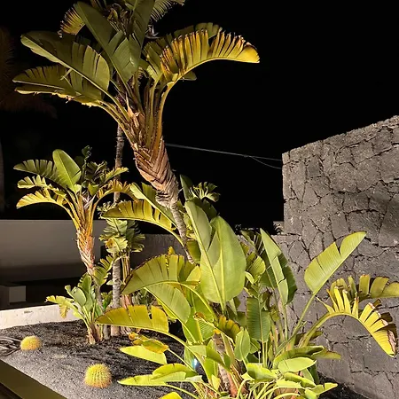 Dedalos - Spacious Luxury With Heated Pool In * 푸에르토카레로
