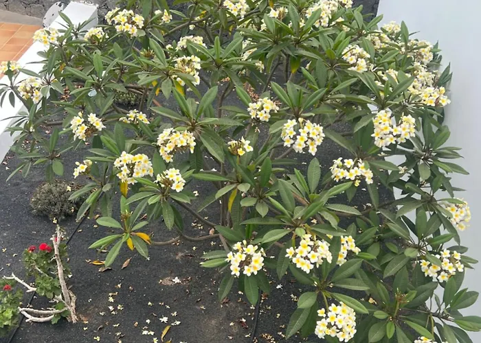 Dedalos - Spacious Luxury With Heated Pool In